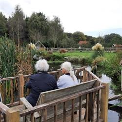 Stichting Reigershoeve, Heemskerk openingstijden
