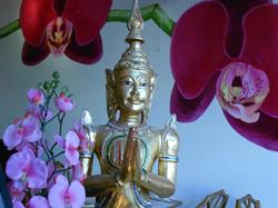 Restaurant De Thai Utrecht (aan de Oudegracht), openingstijden