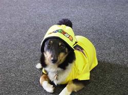 Rossi-shop.nl, Ommen openingstijden