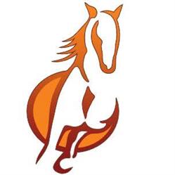 Shadowfax ICT, Hardenberg openingstijden