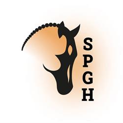 Stichting Paardrijden Gehandicapten Hardenberg en omstreken, Hoogenweg openingstijden