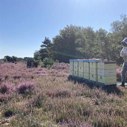 The Honeybin, Wijk en Aalburg openingstijden