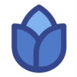 Tulp Training, Rotterdam openingstijden