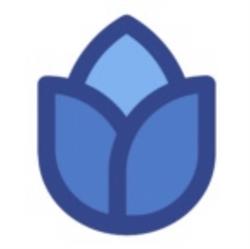 Tulp Training, Rotterdam openingstijden
