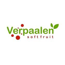 Verpaalen soft fruit plants BV, Rijsbergen openingstijden