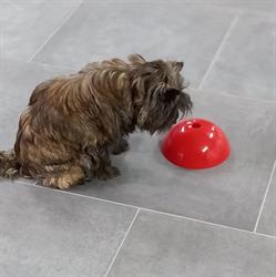 JR Centrum voor de hond, Reusel openingstijden