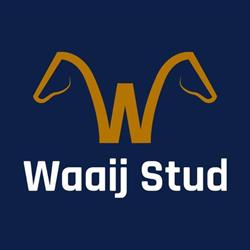 Waaij Stud, Eemnes openingstijden
