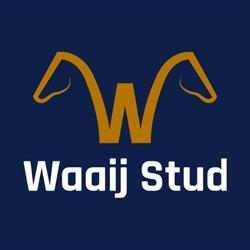 Waaij Stud, Eemnes openingstijden