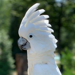 Zoo Veldhoven, openingstijden