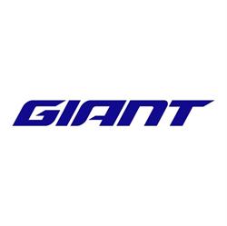 Giant, Lisse openingstijden