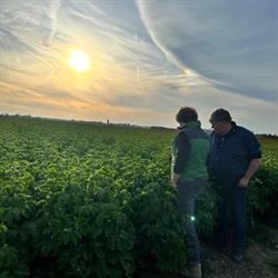 Firma Mastenbroek, Sommelsdijk openingstijden