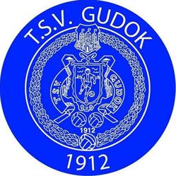 Tilburge Sportvereniging Tsv Gudok Voetbalclub, openingstijden