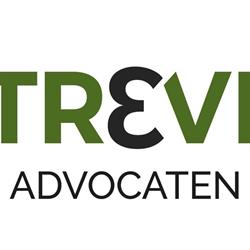 Trevi Advocaten, 's-Gravenhage openingstijden