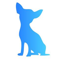 Patty`s Petshop, Huizen openingstijden