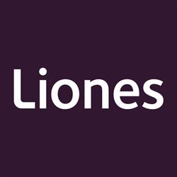 Liones Groep BV, Rijswijk openingstijden