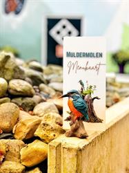 De Muldermolen, Schinnen openingstijden