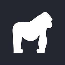 Primal Performance, Weert openingstijden