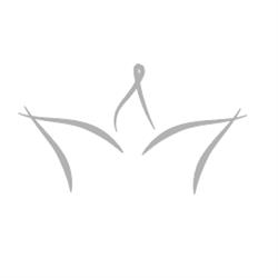Il re di Puglia BV, Amsterdam openingstijden