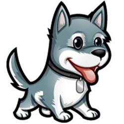Dandy Dog, Ruinerwold openingstijden