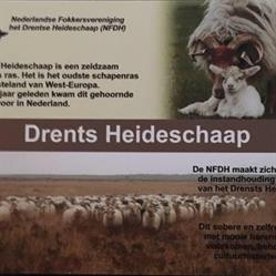 Stichting Schaapskudde het Stroomdal, Schipborg openingstijden