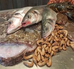 Jeannette`s Vishandel, Herbaijum openingstijden