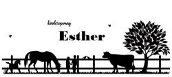 Kinderopvang Esther BV, Wijnjewoude openingstijden