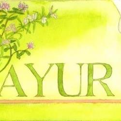 Ayur-Dhara, Empe openingstijden