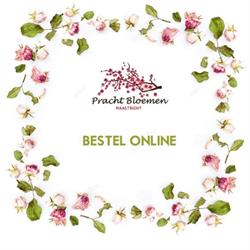 Pracht Bloemen Maastricht, openingstijden
