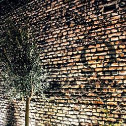 Ouzeri Omega, Maastricht openingstijden
