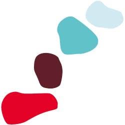 Stepping Stones Coaching, Maastricht openingstijden