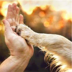 Johnson Petfoods International BV, Rosmalen openingstijden