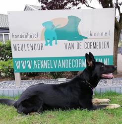 Meulencor, Best openingstijden