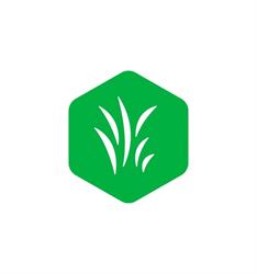 Tuin en Gras BV, Geffen openingstijden