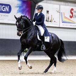 Poko Loko Stables, Koedijk openingstijden