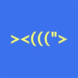 Fish on Fire, Alkmaar openingstijden