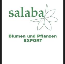 Salaba Bloemen- en Plantenexport BV, Aalsmeer openingstijden