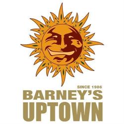 Barney`s Uptown BV, Amsterdam openingstijden