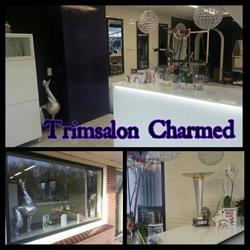 Hondentrimsalon Charmed, Heemskerk openingstijden