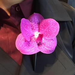 Flower d`Arte BV, Zaandam openingstijden
