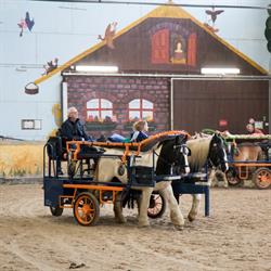 Stichting Paardrijden Gehandicapten IJsselmuiden De Oosterholtruiters, openingstijden