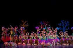 Balletstudio Sylvia, Soest openingstijden