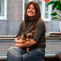 Jet Setters ?, Amersfoort openingstijden