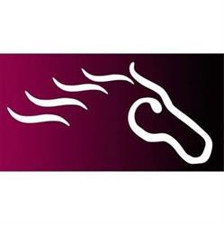 Whitehorses BV, Utrecht openingstijden