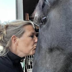 Top paardencoaching & Melkveehouderij De Strythorst, Achterveld openingstijden