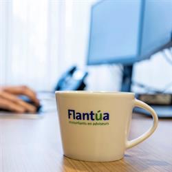 Flantua Advies BV, Hardinxveld-Giessendam openingstijden