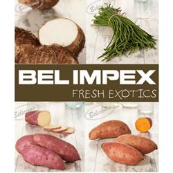 Bel Impex, Nootdorp openingstijden