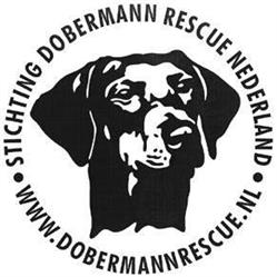 Stichting Dobermann Rescue Nederland, Delft openingstijden
