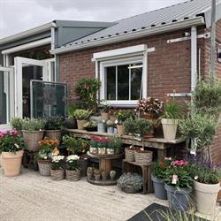 Tuincentrum de Bonte vof, Poortvliet openingstijden
