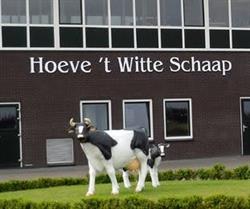 Schaap, Bunschoten-Spakenburg openingstijden