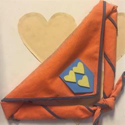 Scouting Don Bosco Geldrop?, openingstijden
